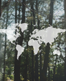 Unsplash